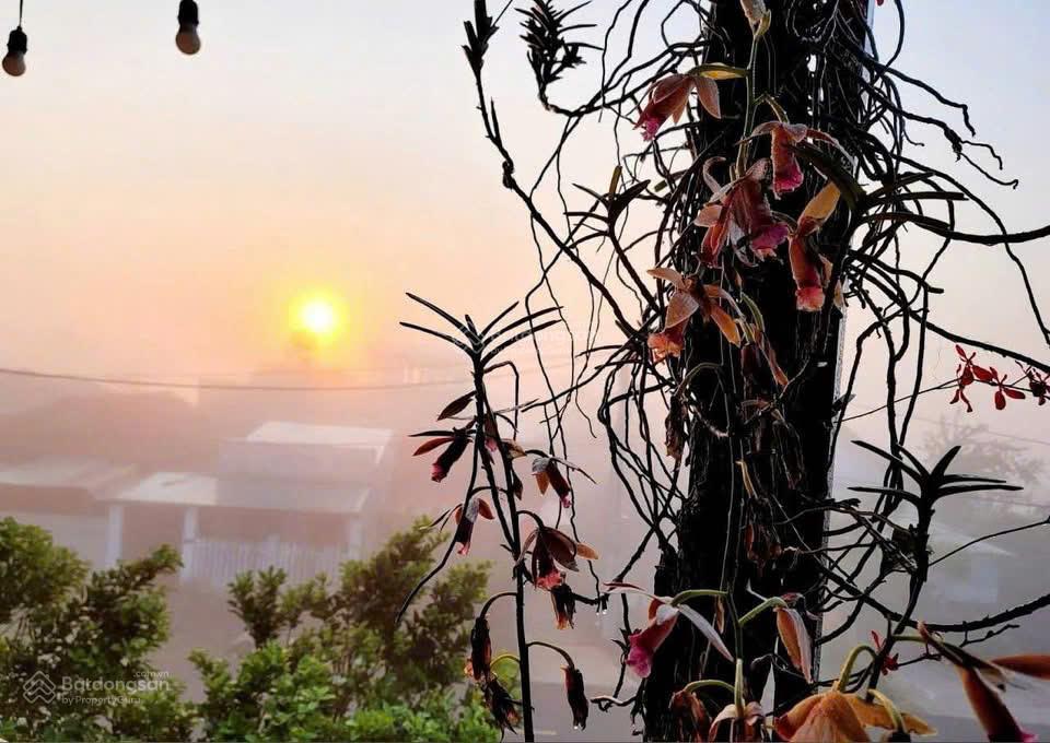 Chỉ 6.x tỉ, anh chị sở hữu siêu phẩm giá rẻ măng đen gần đăk lắk, 8 phòng dòng tiền sẵn đầu tư