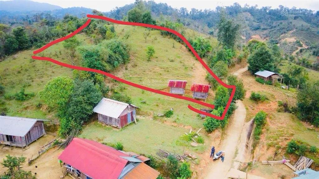 Săn mây măng đen  giá 1,7 tỷ cho hơn 1.188m² đất thổ cư