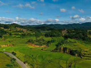 Bán đất măng đen view đồi  chỉ 1,7 tỷ | 757,2m² có 50m² thổ cư