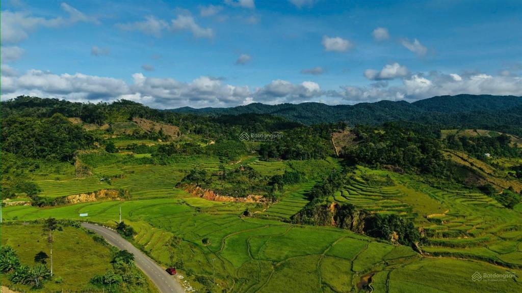 Tài chính dưới 2 tỷ mua được đất măng đen có thổ cư