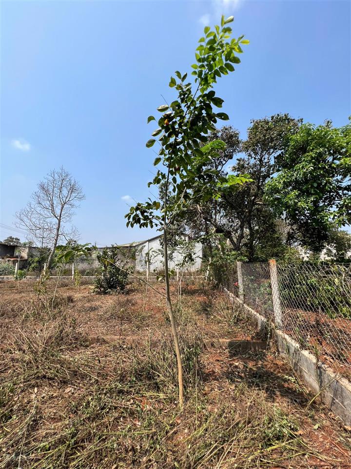 Bán đất tại xã ea tu, 4,5 tỷ, 625m2, giá ưu đãi