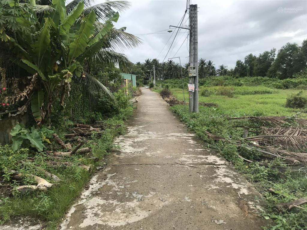 Bán đất đẹp tại xã tam hiệp, châu thành, tiền giang