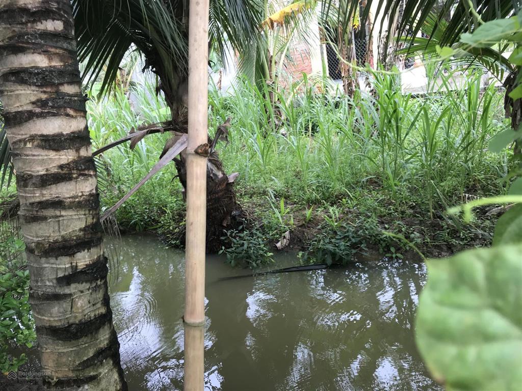 Bán đất đẹp tại xã tam hiệp, châu thành, tiền giang