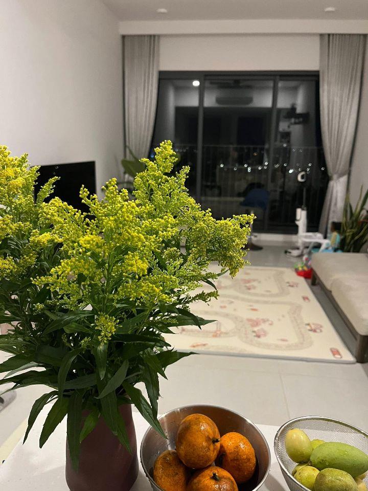Quỹ căn giá tốt hiện đang bán tại chung cư Park Kiara - Khu đô thị Park City Hà Nội