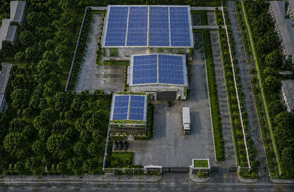 Cho thuê xưởng 6.000m² tại bến lức, long an vị trí thuận lợi, phù hợp nhiều ngành nghề