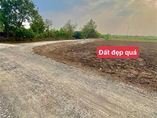 Đat vườn cực đẹp cho lên thổ cho lên thổ giá rẻ ở bình đức long an tây ninh mới