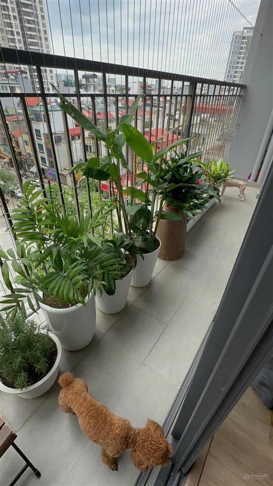 Quỹ căn berriver 390 nguyễn văn cừ  chọn căn đúng gu gia đình | 2pn3pn | full đồ/cơ bản | bao phí