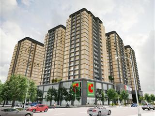 Cần bán căn hộ cosmo city, nguyễn thị thập, 2pn đầy đủ nội thất, sổ hồng giá tốt