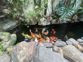 Nhà đẹp trung tâm ngõ bàn cờ thông ô tô thang máy ở sướng