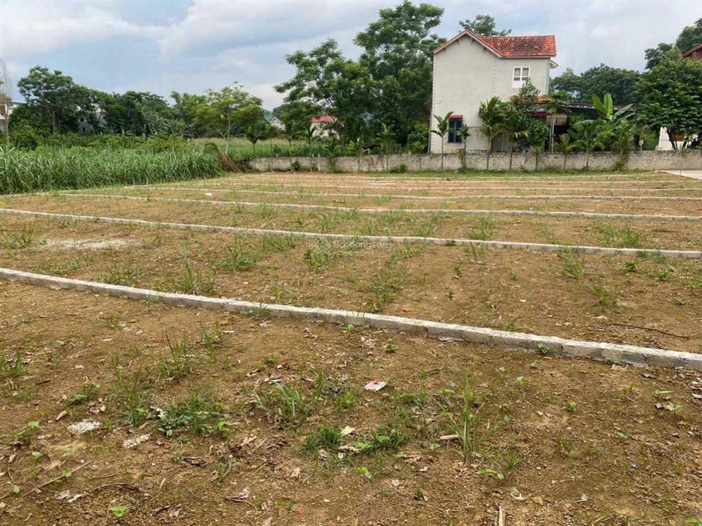 Chính chủ cắt lỗ lô đất view hồ sinh thái + sát quốc lộ quy hoạch 42m giá chỉ 130 triệu