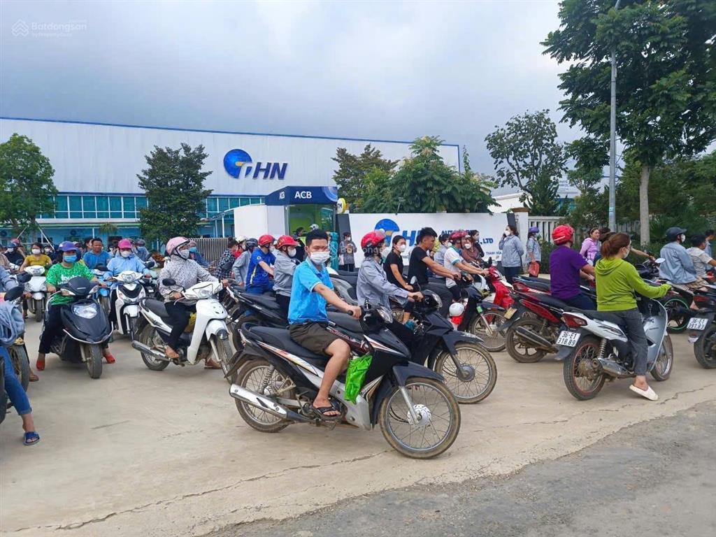 Chính chủ cắt lỗ lô đất thị trấn, sát khu công nghiệp mà giá chỉ 150 triệu.  0981 811 ***