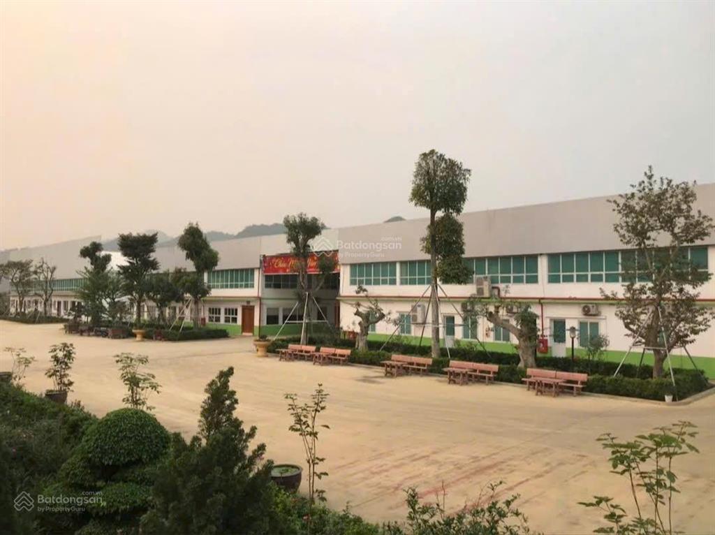 Chính chủ cắt lỗ lô đất thị trấn, sát khu công nghiệp mà giá chỉ 150 triệu.  0981 811 ***