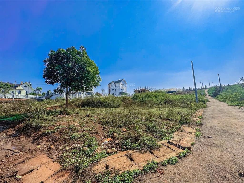 Chính chủ cần bán nhanh đất nghỉ dưỡng măng lin 220m2 đường nhựa, giá 5 tỷ thương lượng nhẹ