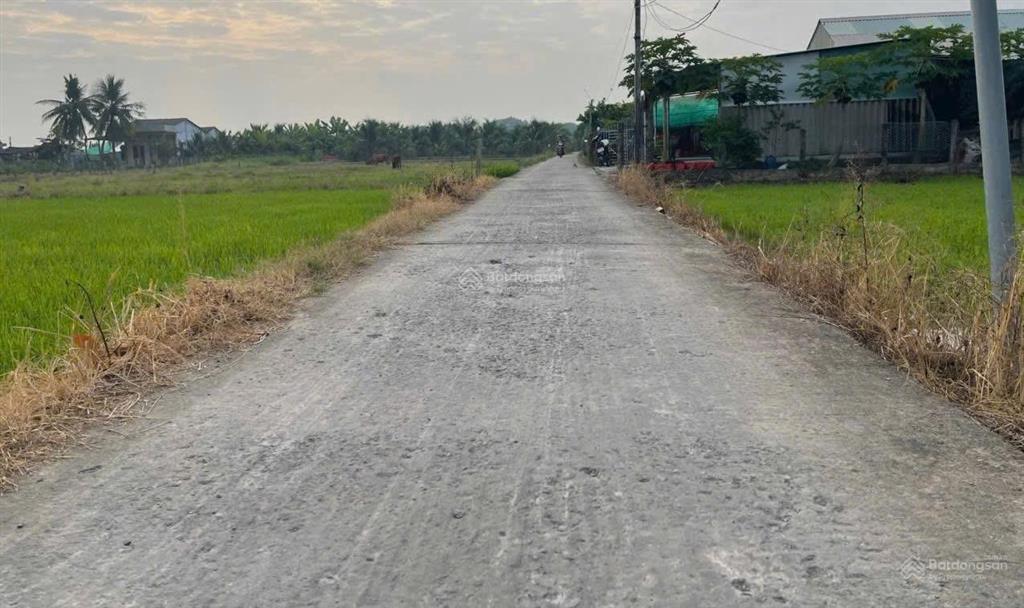 Bán đất tại đan, đức tân, tân trụ, 650 triệu, 150m2, pháp lý đầy đủ, chính chủ uy tín