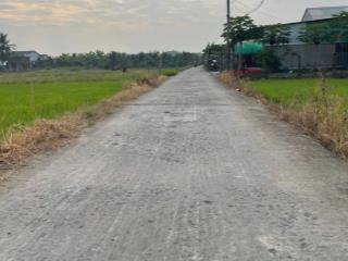 Bán đất tại đan, đức tân, tân trụ, 650 triệu, 150m2, pháp lý đầy đủ, chính chủ uy tín