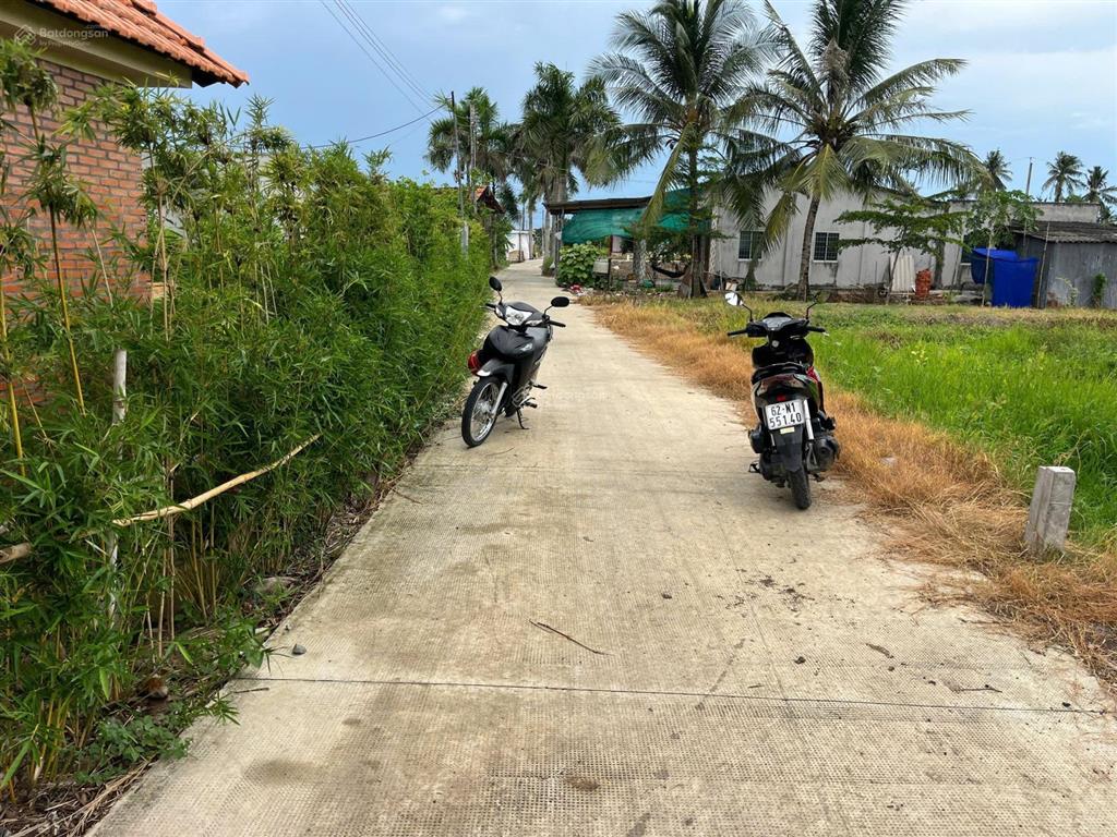 Hàng đất thổ cho anh chị đầu tư. 110m² thổ cư nền cao, bình lãng, tân trụ, long an (tây ninh mới)
