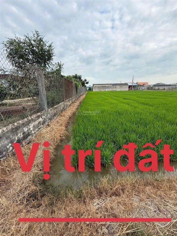 Trình chính chủ cần bán lô đất thổ cư dt 5 x 30m view rạch gần kcn an nhựt tân, tân trụ, long an