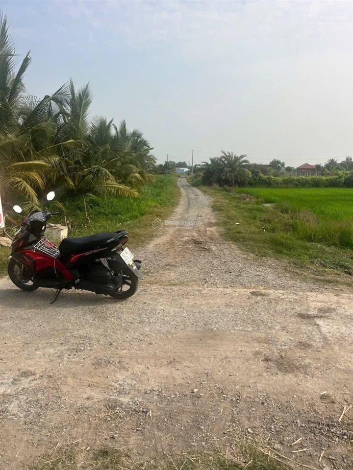 Trình chính chủ cần bán lô đất thổ cư dt 5 x 30m view rạch gần kcn an nhựt tân, tân trụ, long an