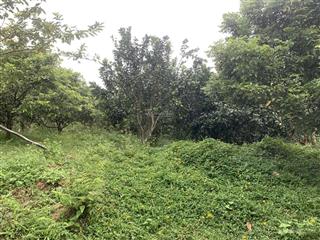 Bán 3200m2 đất mặt tiền ql  phú cường, tân lạc, hòa bình