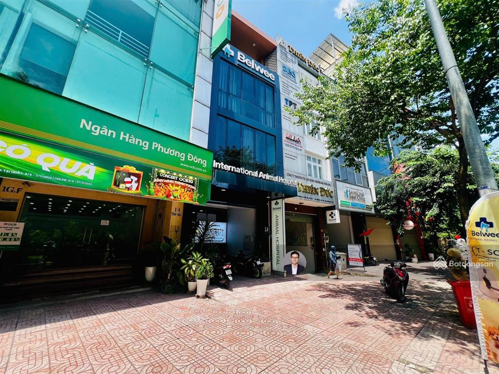 Hàng hiếm rẻ! bán nhà mặt tiền trần não  dt 6x25m  xd hầm 8 tầng  hđt 140 tr/th  giá 38 tỷ tl