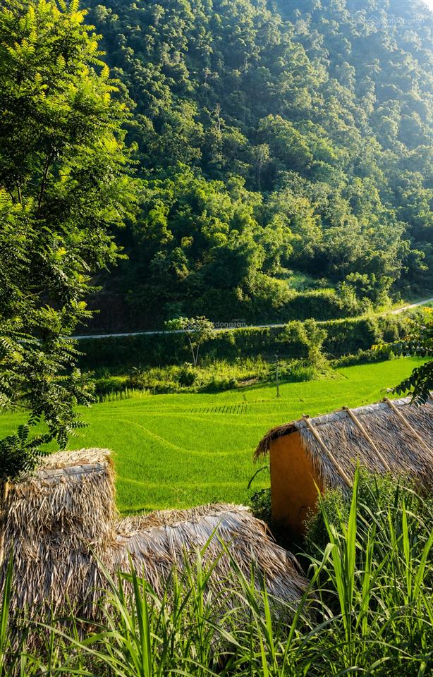 Chuyển nhượng resort pù luông 6.000m², 3.500m² thổ cư, 8 bungalow