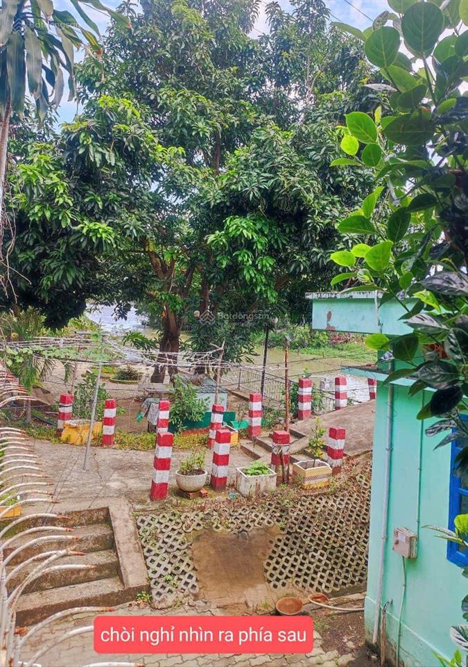 Biệt thự view sông giáp bình thạnh, mà nhà nhiều ô tô không nên bỏ lỡ  đậu được 5 chiếc ô tô