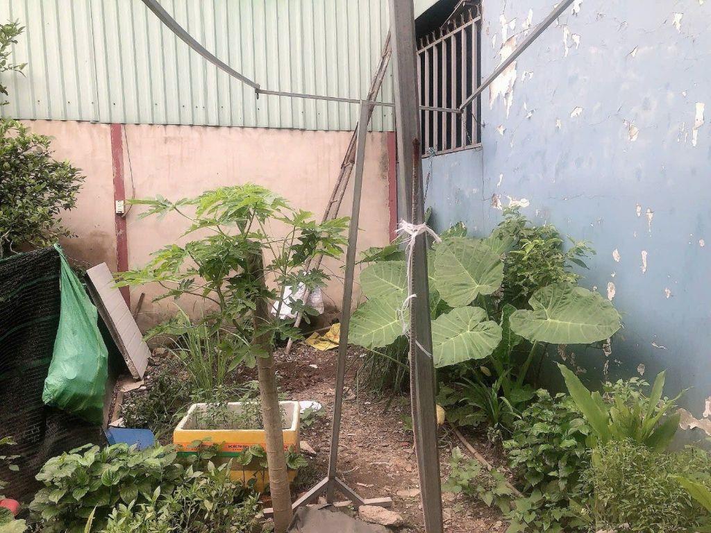 BÁN ĐẤT GÒ DƯA TAM BÌNH - NGANG GẦN 6 MÉT - TƯƠNG LAI 2 MẶT TIỀN KO LỘ GIỚI