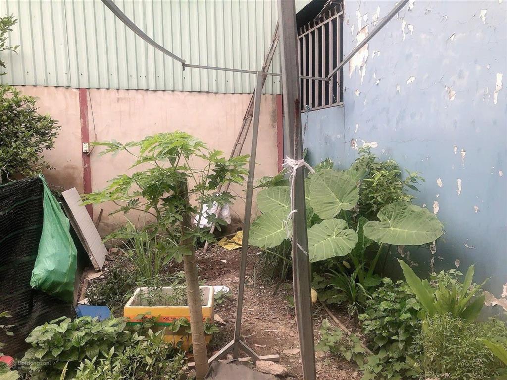 Bán đất gò dưa, tam bình  ngang gần 6 mét  tương lai 2 mặt tiền ko lộ giới