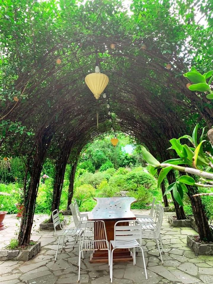Cho thuê mặt bằng sân vườn 1600m2 ngay trung tâm khu d2d võ thị sáu  p. thống nhất