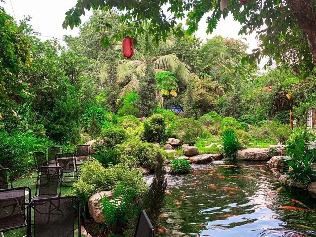 Cho thuê mặt bằng sân vườn 1600m2 ngay trung tâm khu d2d võ thị sáu  p. thống nhất