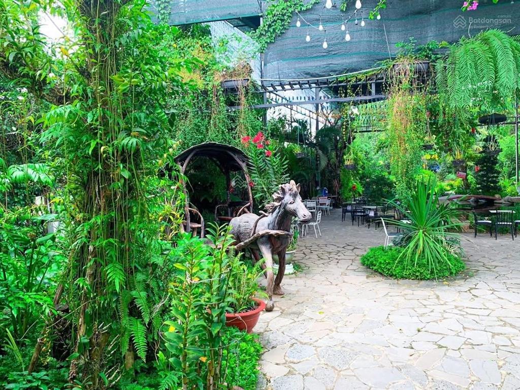 Cho thuê mặt bằng sân vườn 1600m2 ngay trung tâm khu d2d võ thị sáu  p. thống nhất