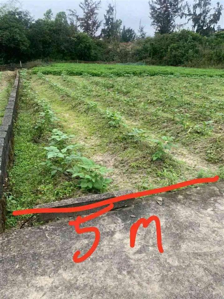 Bán 2 lô liền kề đường hồ ven biển, chợ thôn 4, đất biển điện dương, võ nguyên giáp