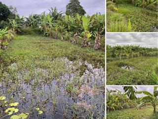 Bán Đất Chính Chủ 2.011m2 Dọc TL 944 Chợ Mới, Xã An Thạnh Trung, An Giang