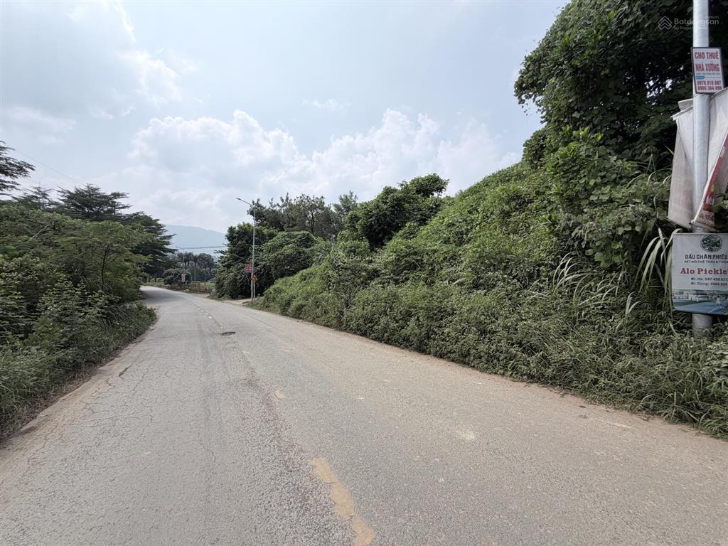Đất vàng mặt đường bãi dài, 1300m2, hàng hiếm giá rẻ, sổ đỏ chính chủ giao dịch ngay