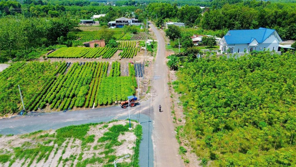 Anh/chị đang tìm đất gần kcn giá mềm thì nên đi xem khu minh long chơn thành, 600 triệu/225m2