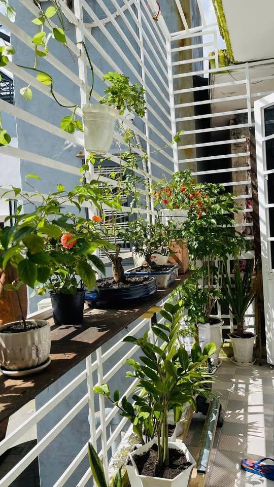 ►  Nhà 40m ra Mặt Tiền Phạm Văn Nghị 2 tầng sạch đẹp 2.x tỷ vừa