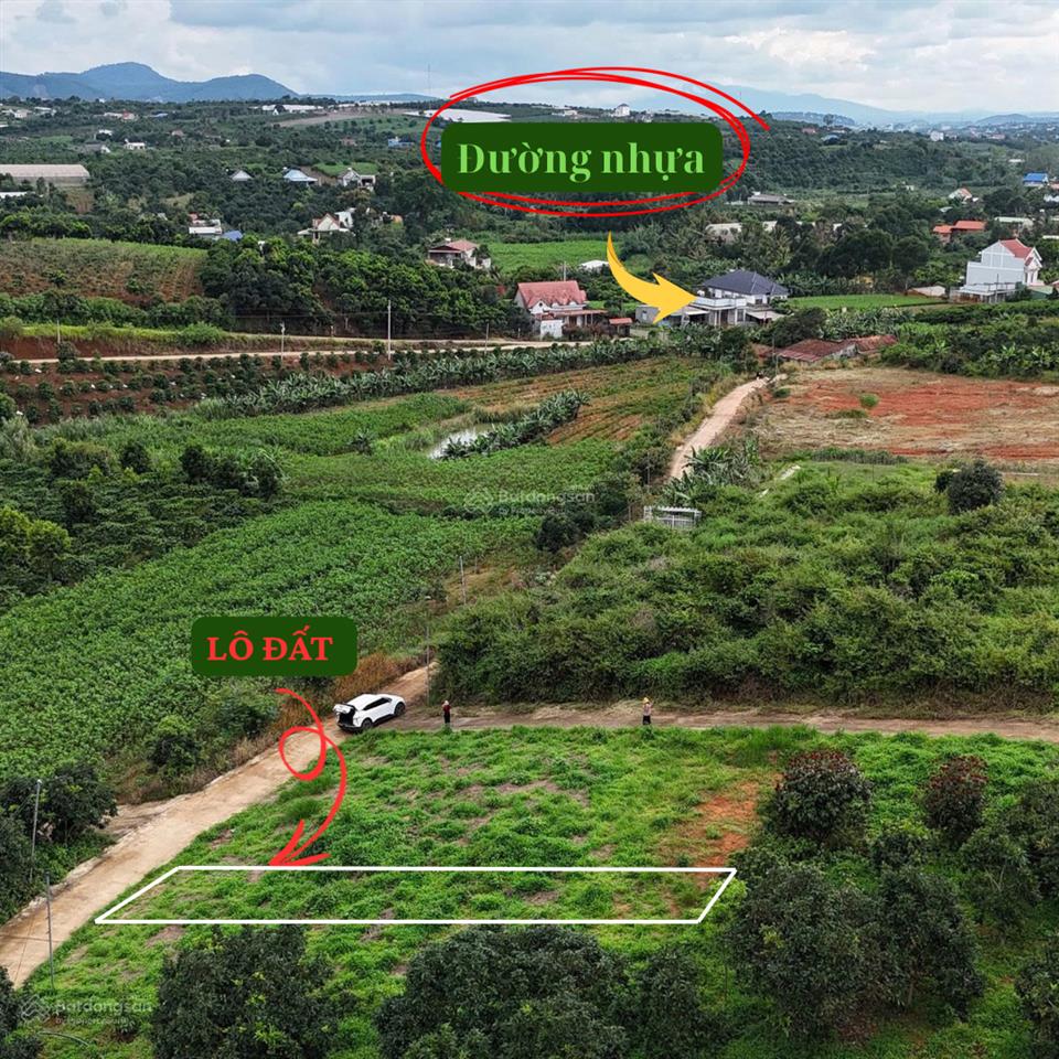 Ngộp bán đất nghỉ dưỡng ven đà lạt 550tr. sổ hồng riêng sẵn thổ cư