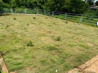 Đất sổ hồng 100 m² full thổ cư cho sinh viên