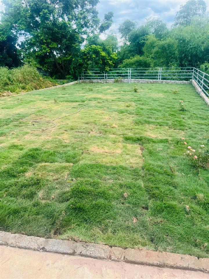 Đất sổ hồng 100 m² full thổ cư cho sinh viên