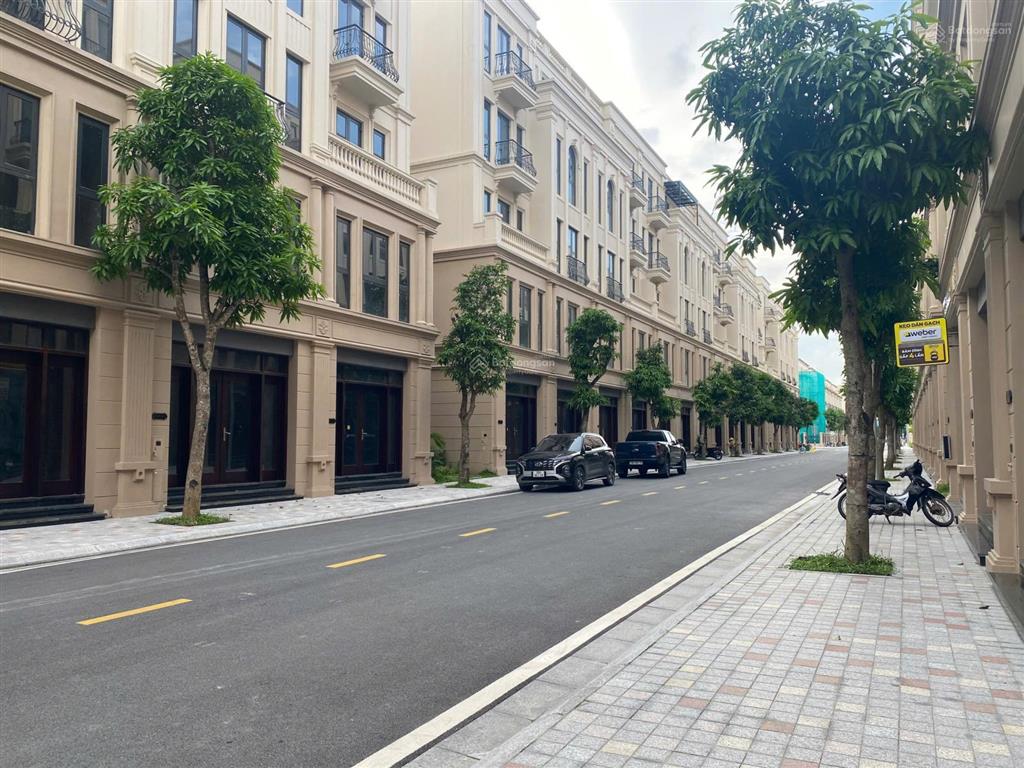 Cho thuê liền kề đẹp tại phân khu tinh hoa  vinhomes cổ loa