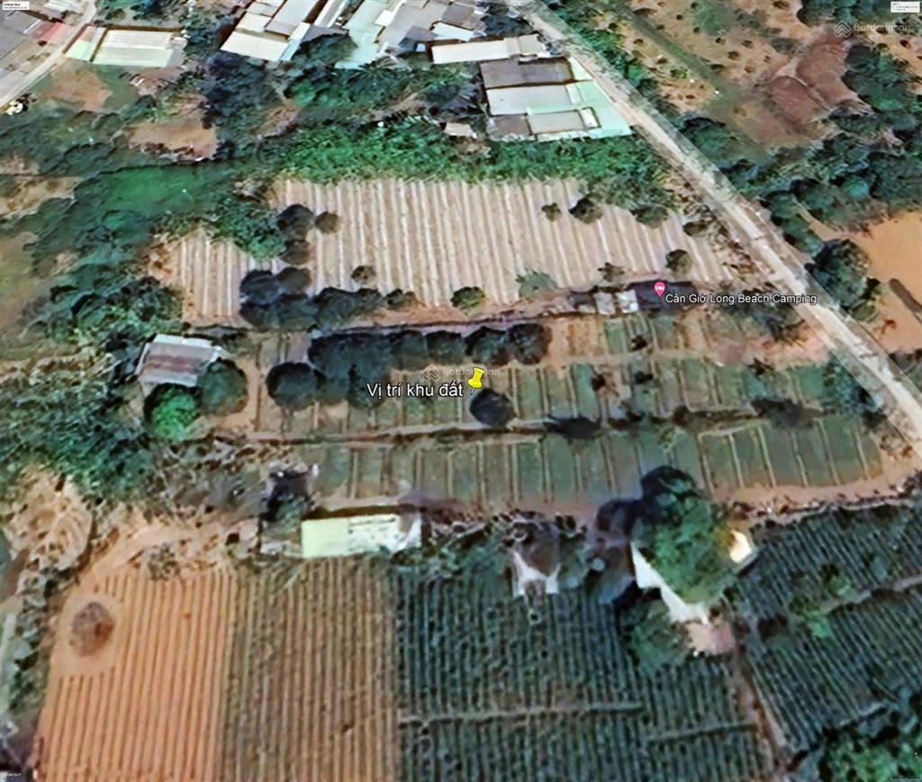 Cho thuê dài hạn đất,nhà xưởng, kho, homestay tại cần giờ, long an, mặt tiền xe hơi. hl 0906 697 ***