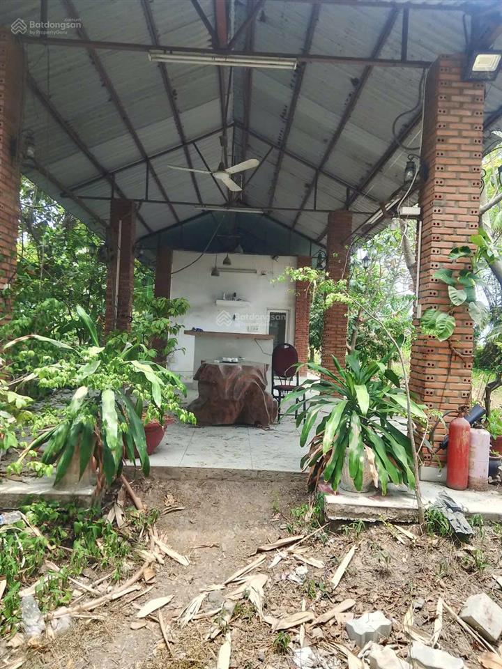 Cho thuê kho xưởng bãi vlxd kết hợp nhà vườn tại võ văn bích, xã phú hòa đông, củ chi vừa ở vừa lv