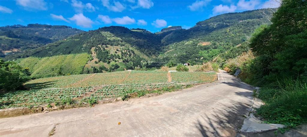 Diện tích đất 10846m2 mặt tiền đường liên xã, xe hơi, cách đồi chè cầu đất 1km, đà lạt