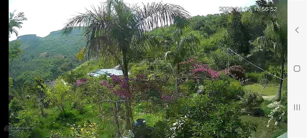 Diện tích đất 10846m2 mặt tiền đường liên xã, xe hơi, cách đồi chè cầu đất 1km, đà lạt