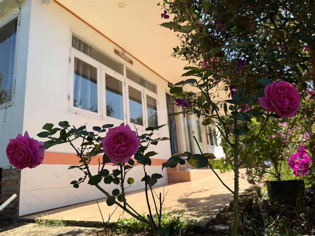Diện tích đất 10846m2 mặt tiền đường liên xã, xe hơi, cách đồi chè cầu đất 1km, đà lạt