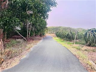 Bán đất tại bưng riềng, xuyên mộc, bà rịa vũng tàu, 2,2 tỷ, 3600 m2