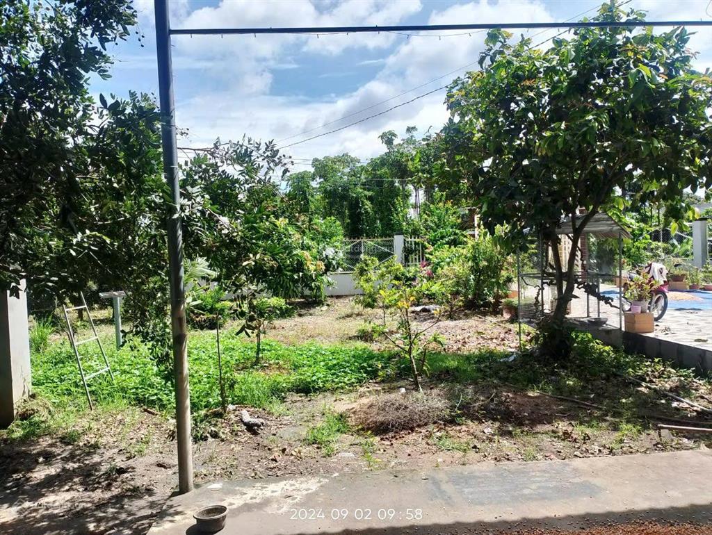 Bán nhà riêng 3,8 tỷ, 2500m2 tại xã hòa hội, huyện xuyên mộc, bà rịa vũng tàu có sẵn 100m thổ cư
