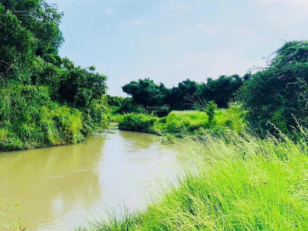 Bán 3500m2, 100tc view suối cầu 3, hoà hội, tp. hcm  thực tế 4200m2 đường nhựa, giá 2,8 tỷ