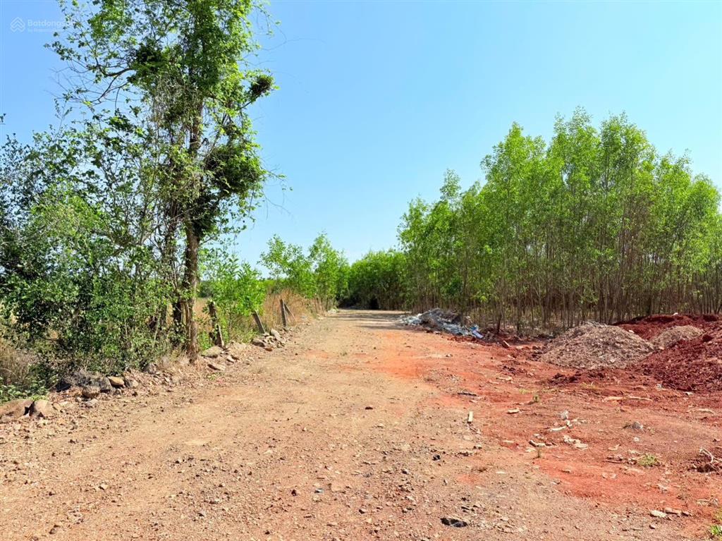 Bán đất tại xã xuyên mộc, 3 tỷ, 11000 m2, giá siêu hời, view đẹp