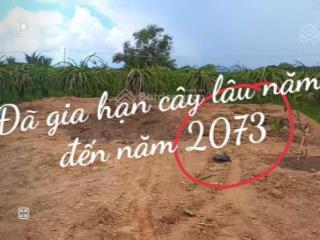 Đất thổ vườn hàm kiệm 1.023 m2